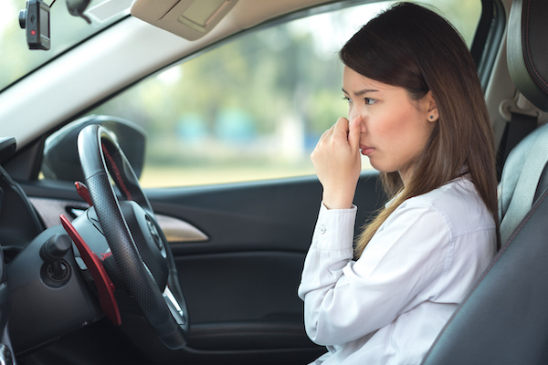 3 Reasons Why Your Car May Smell Like Rotten Eggs
